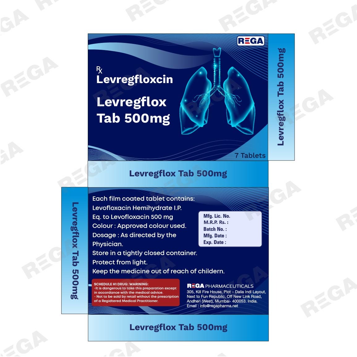 Levofloxacin Injection 500 mg